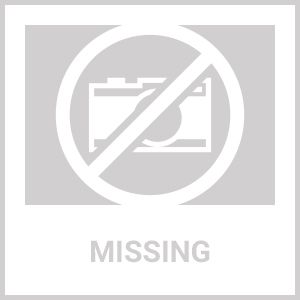 Waterproof Matches